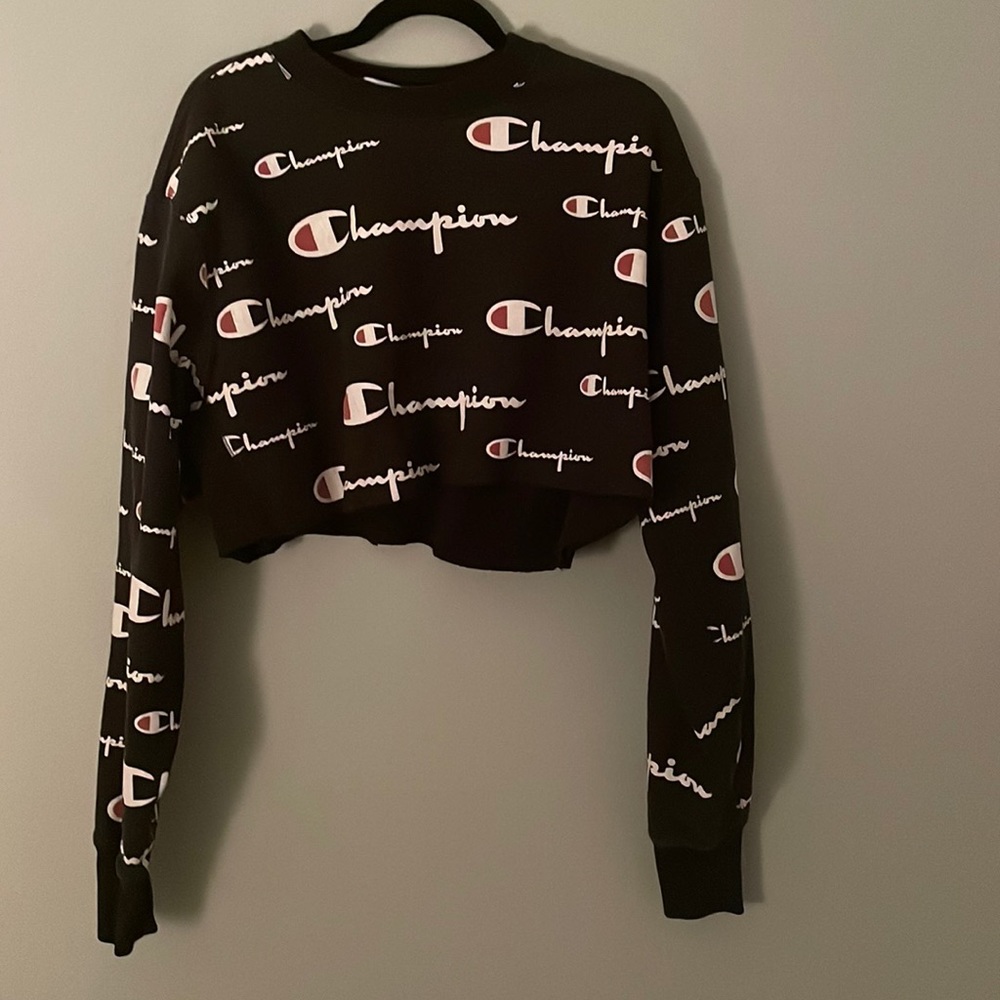 champion cropped hoodie